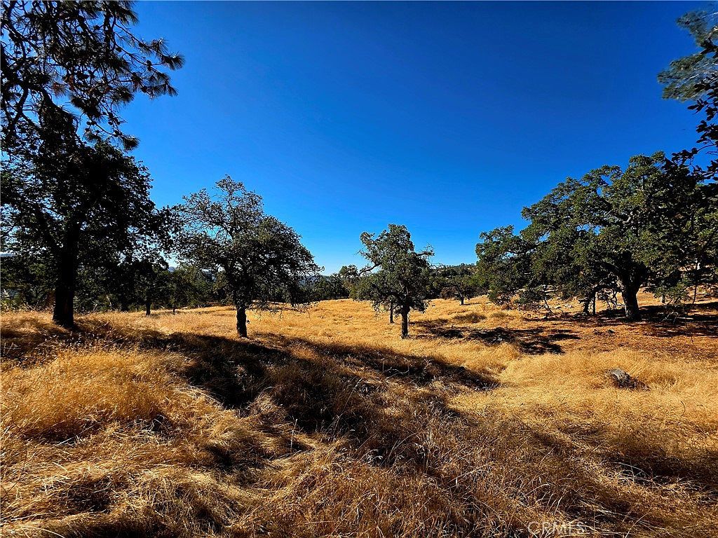 1 Lilley Mountain Dr LOT 1379 Coarsegold, CA 93614 - Thumbnail 3