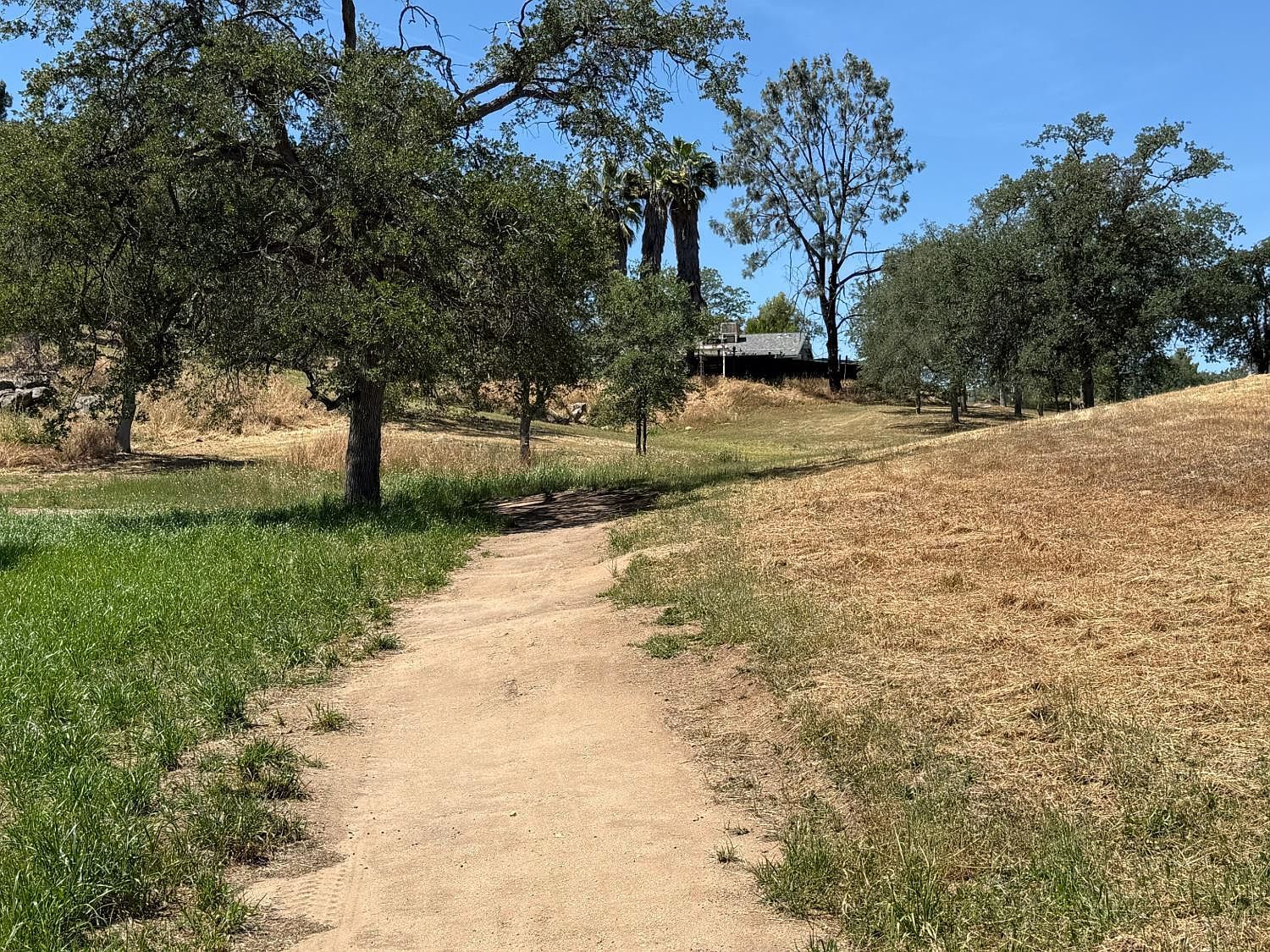 958 Kings Canyon Ct S Coarsegold, CA 93614 - Thumbnail 3