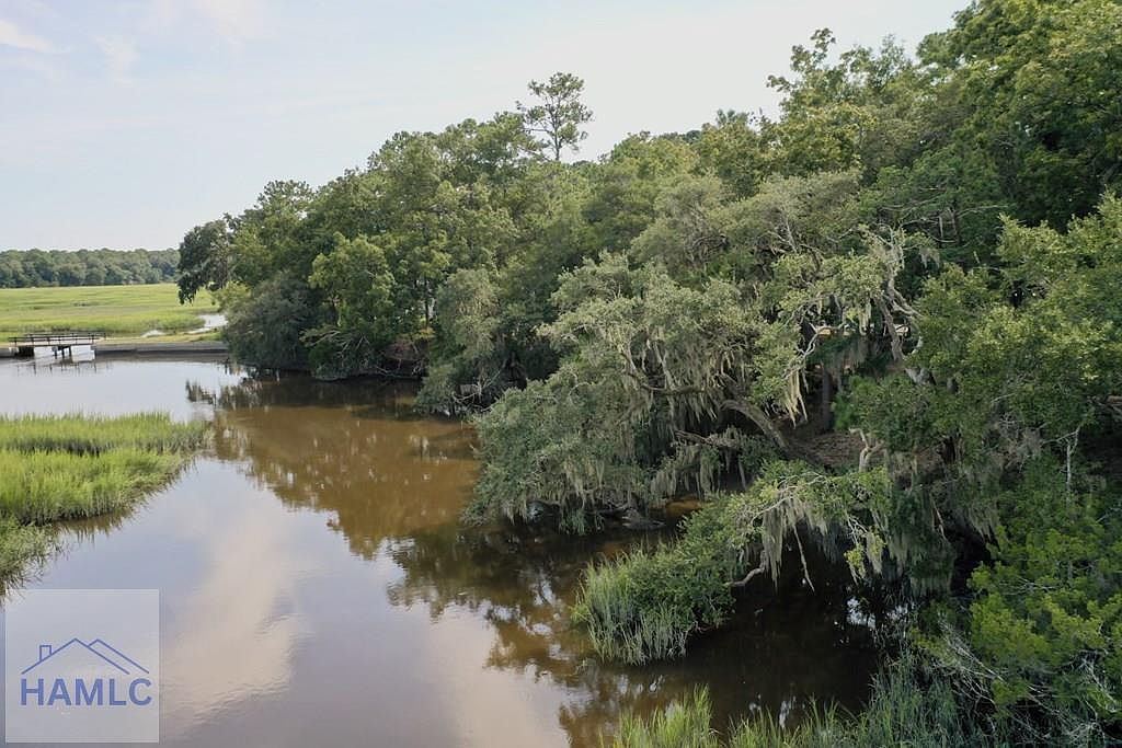 2061 Belle Island Rd Richmond Hill, GA 31324 - Thumbnail 3