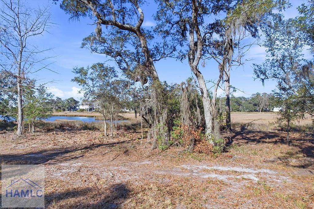 LOT 5 Bermuda Bluff Ln Midway, GA 31320 - Thumbnail 3