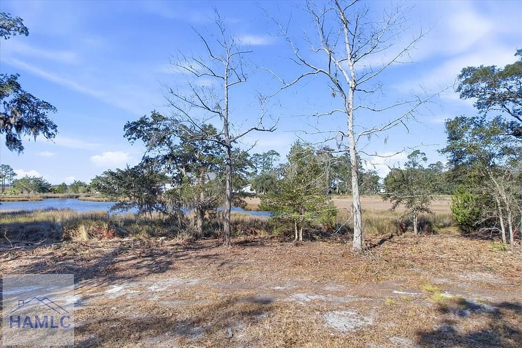 LOT 4 Bermuda Bluff Ln Midway, GA 31320 - Thumbnail 3