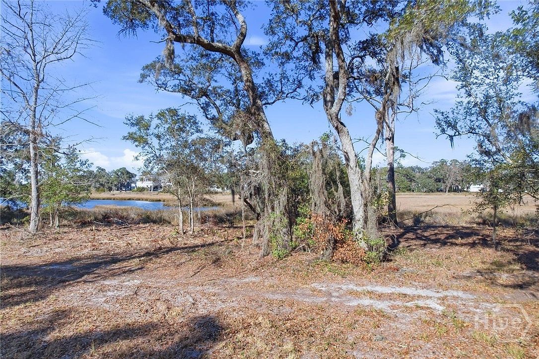 LOT 5 Bermuda Bluff Rd Midway, GA 31320 - Thumbnail 3