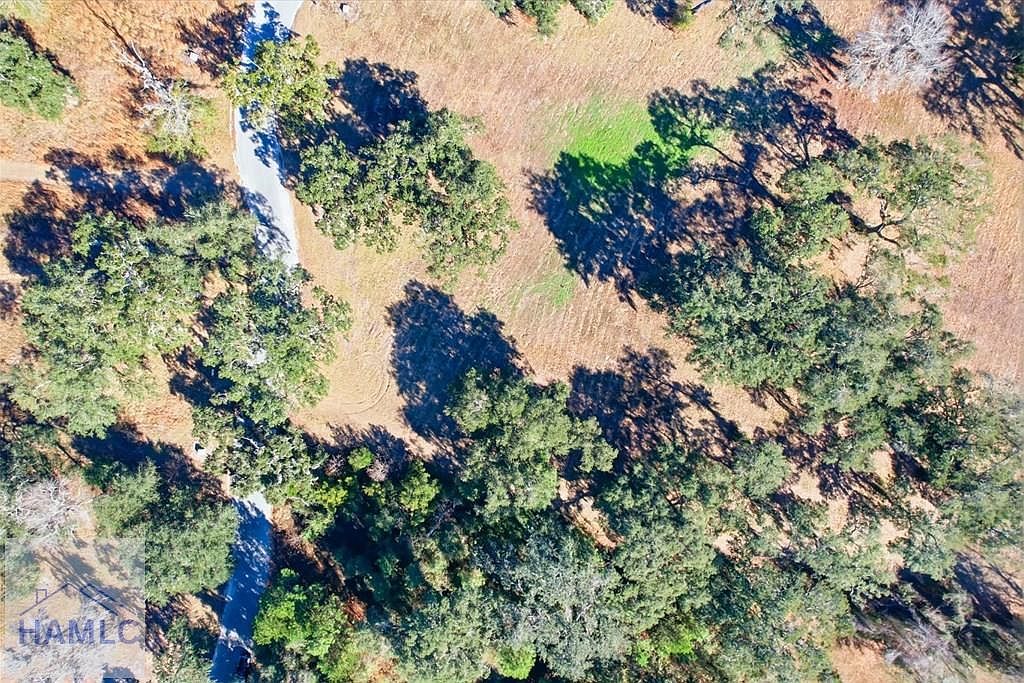 LOT 28 Bermuda Bluff Ln Midway, GA 31320 - Thumbnail 3