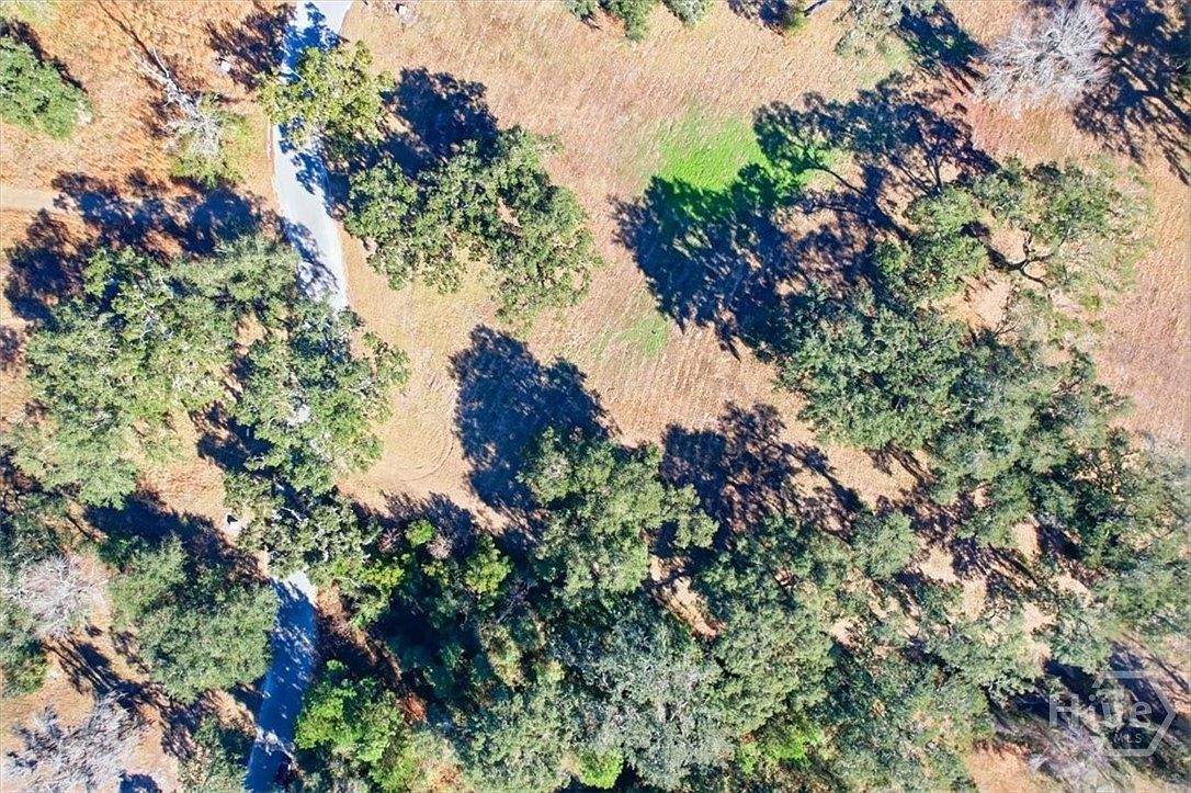 LOT 28 Bermuda Bluff Rd Midway, GA 31320 - Thumbnail 3