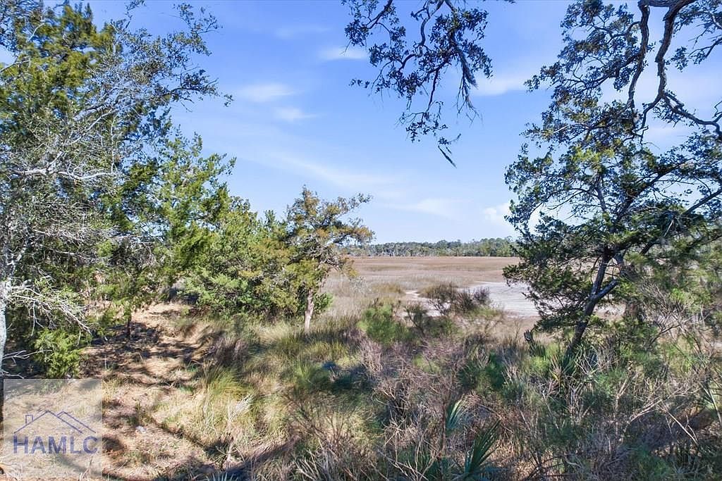 LOT 15 Bermuda Bluff Ln Midway, GA 31320 - Thumbnail 3