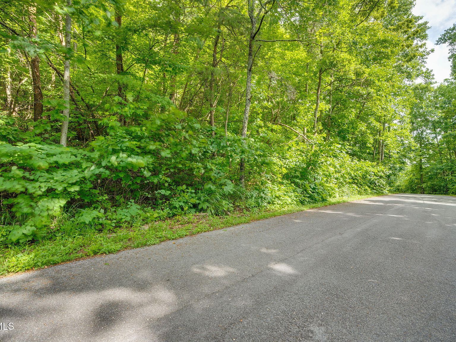 LOT 40 Ridgeheights Dr Johnson City, TN 37615 - Thumbnail 3