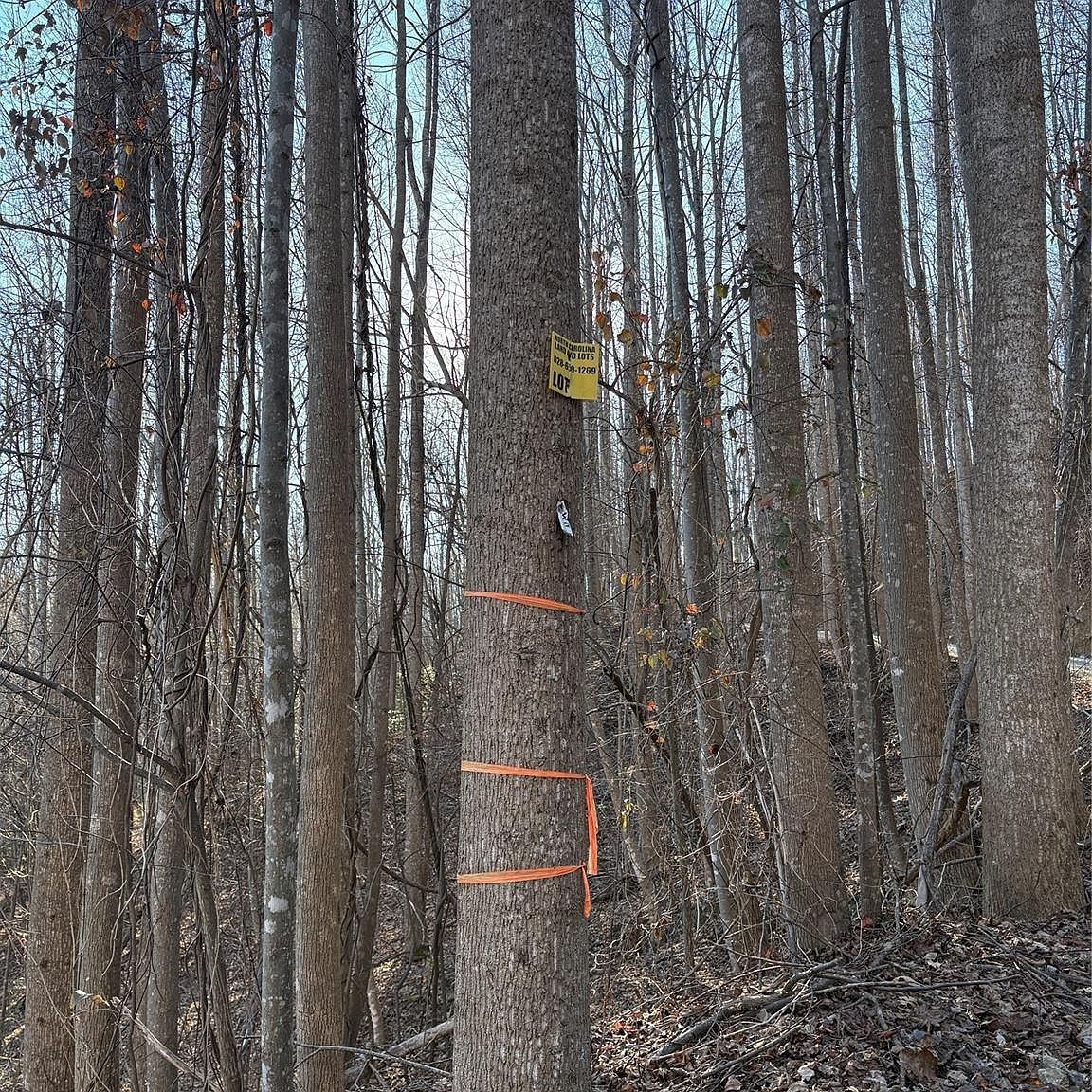 Brindlewood Dr #38V Nebo, NC 28761 - Thumbnail 3