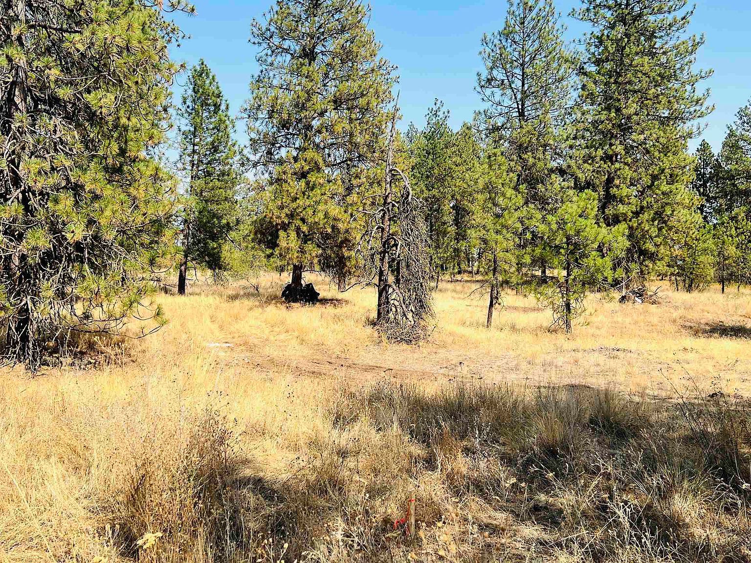 W Brooks Rd Medical Lake, WA 99022 - Thumbnail 3