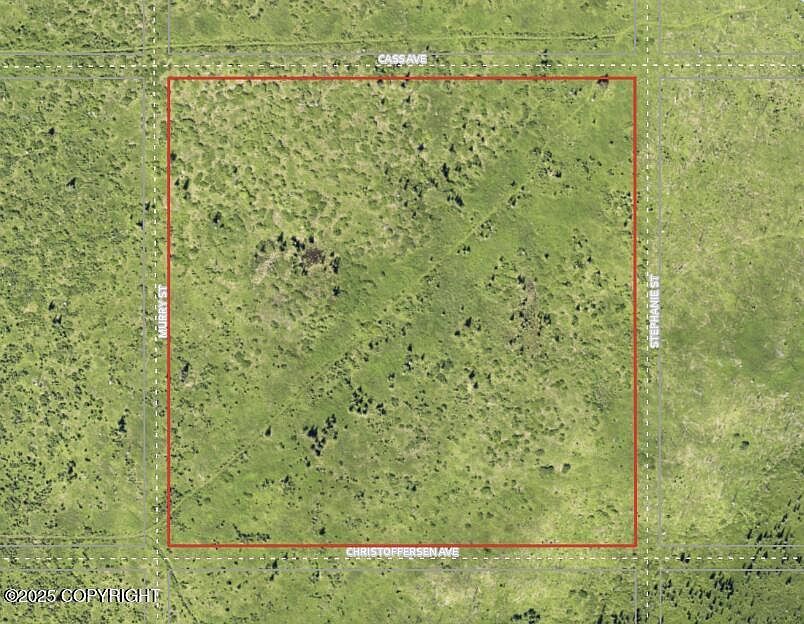 54490 Christofferson Ave Ninilchik, AK 99639 - Thumbnail 3