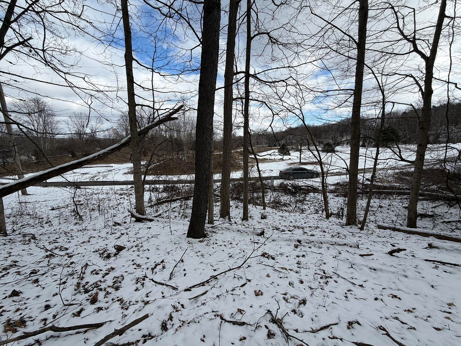 LOT 65 Hosford Dr Ionia, MI 48846 - Thumbnail 3