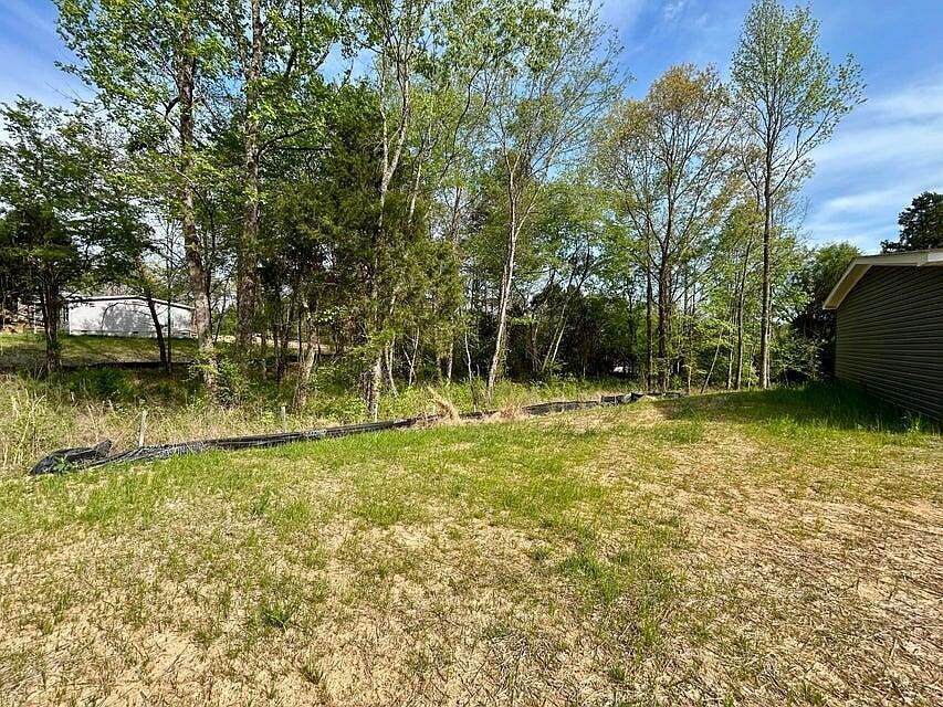 224 Sable Rd Spring City, TN 37381 - Thumbnail 3