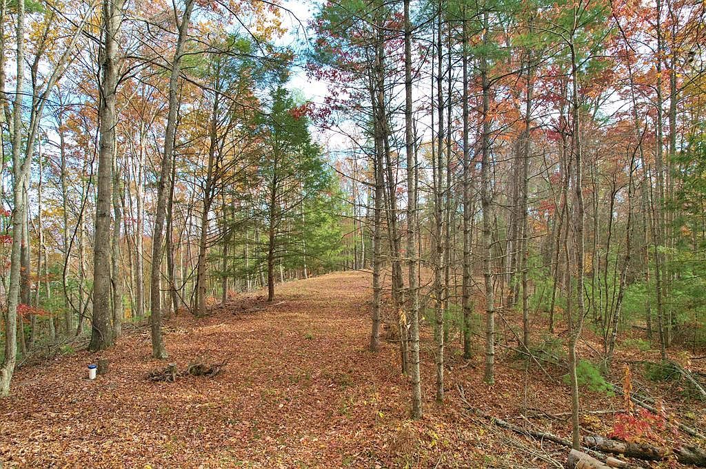 700 Ellison School Rd Camp Creek, WV 25820 - Thumbnail 3