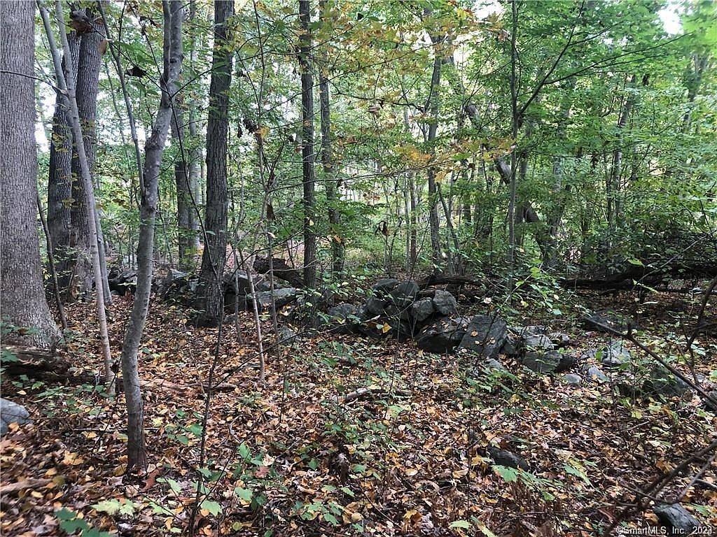 983 Boston Post Rd Madison, CT 06443 - Thumbnail 3