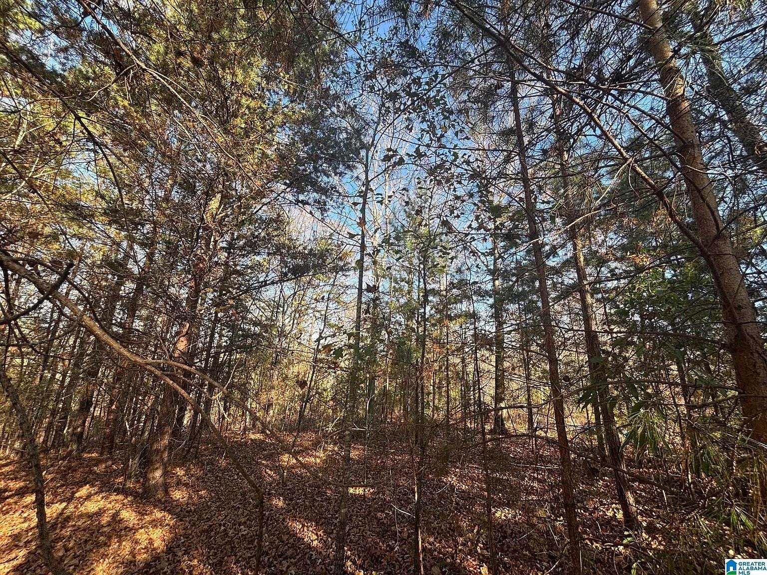 0 Smith Ln #0 Talladega, AL 35160 - Thumbnail 3