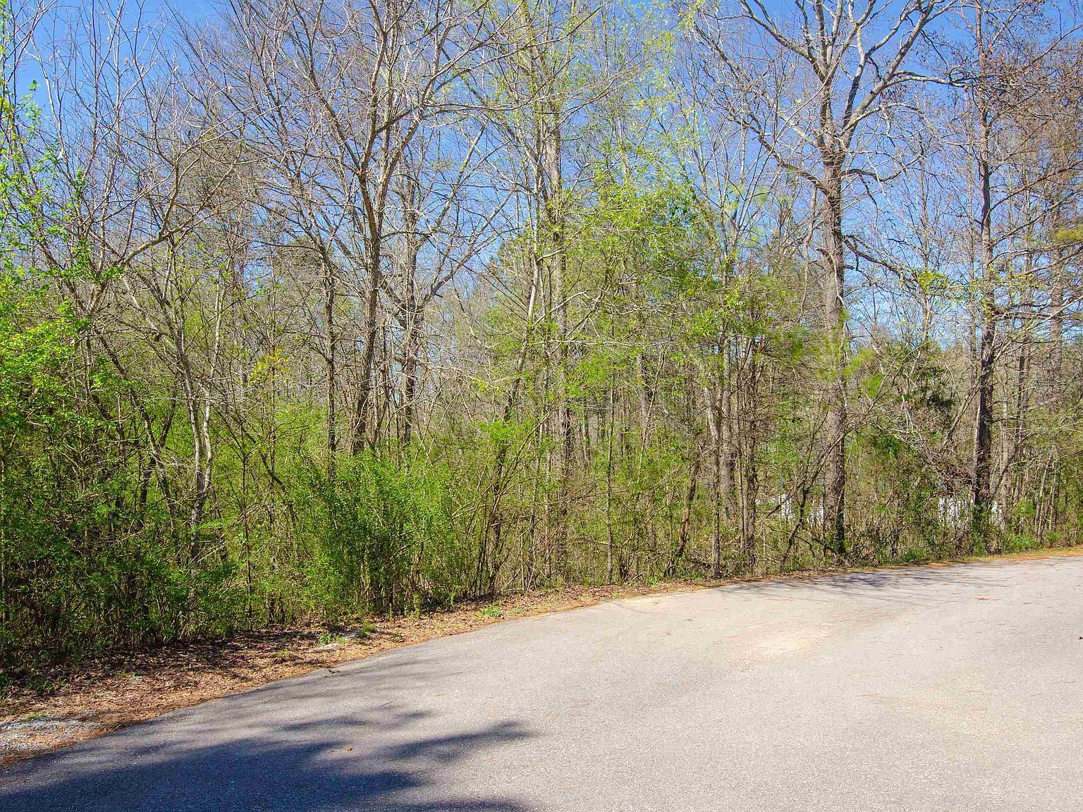 0 Howard Cir #0 Lincoln, AL 35096 - Thumbnail 3