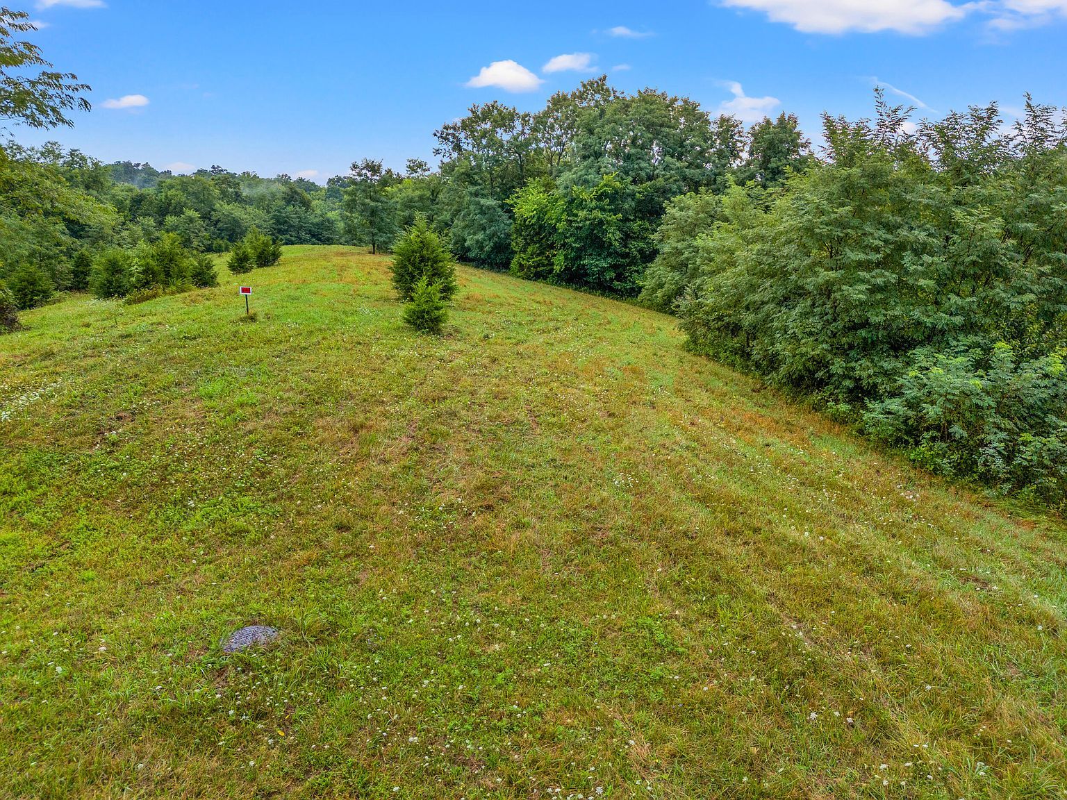 101 Sabin Dr Georgetown, KY 40324 - Thumbnail 3