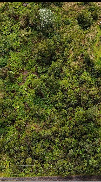 Wailele St Mountain View, HI 96771 - Thumbnail 3