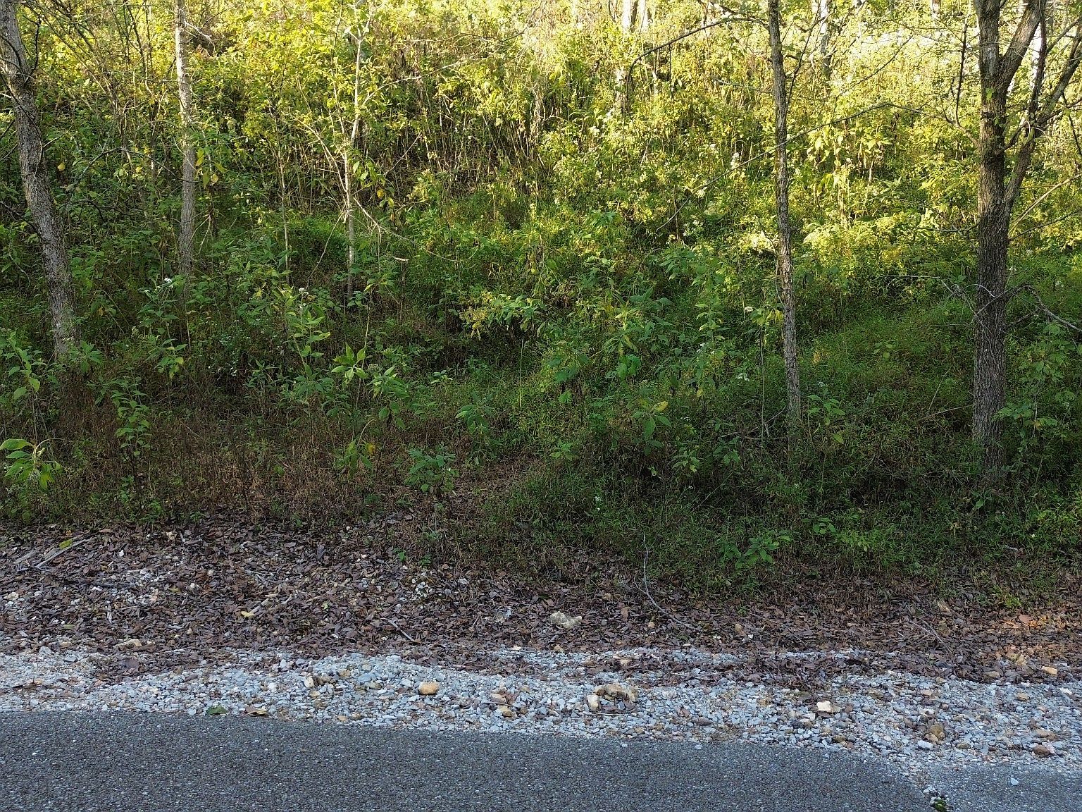 104 Blackberry Ridge Way #104 Smithville, TN 37166 - Thumbnail 3