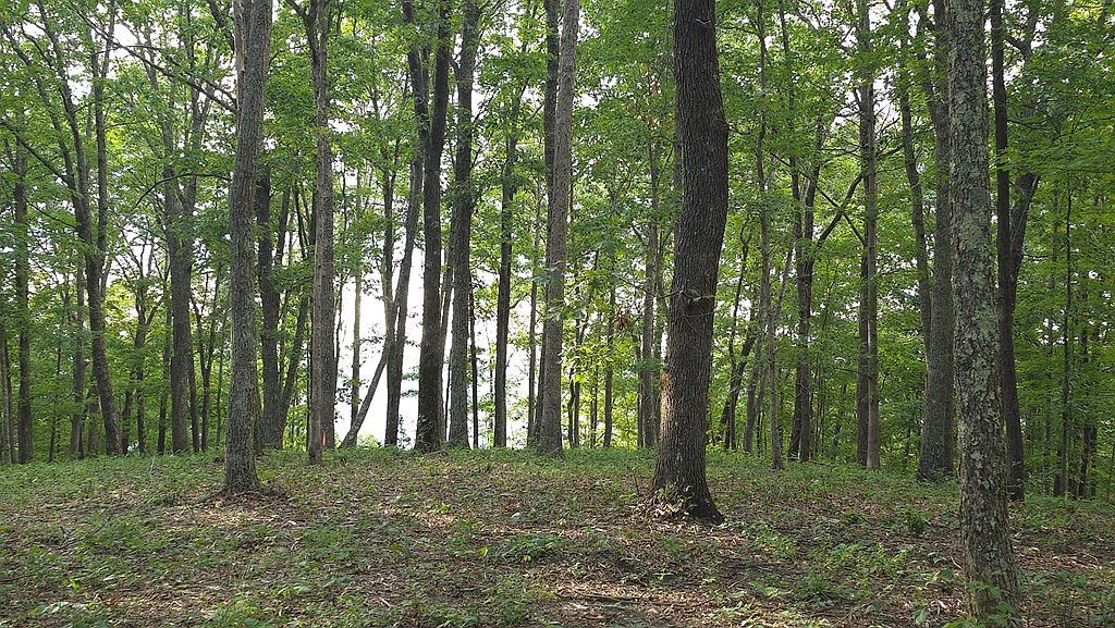 0 Bluff Ln Spencer, TN 38585 - Thumbnail 3