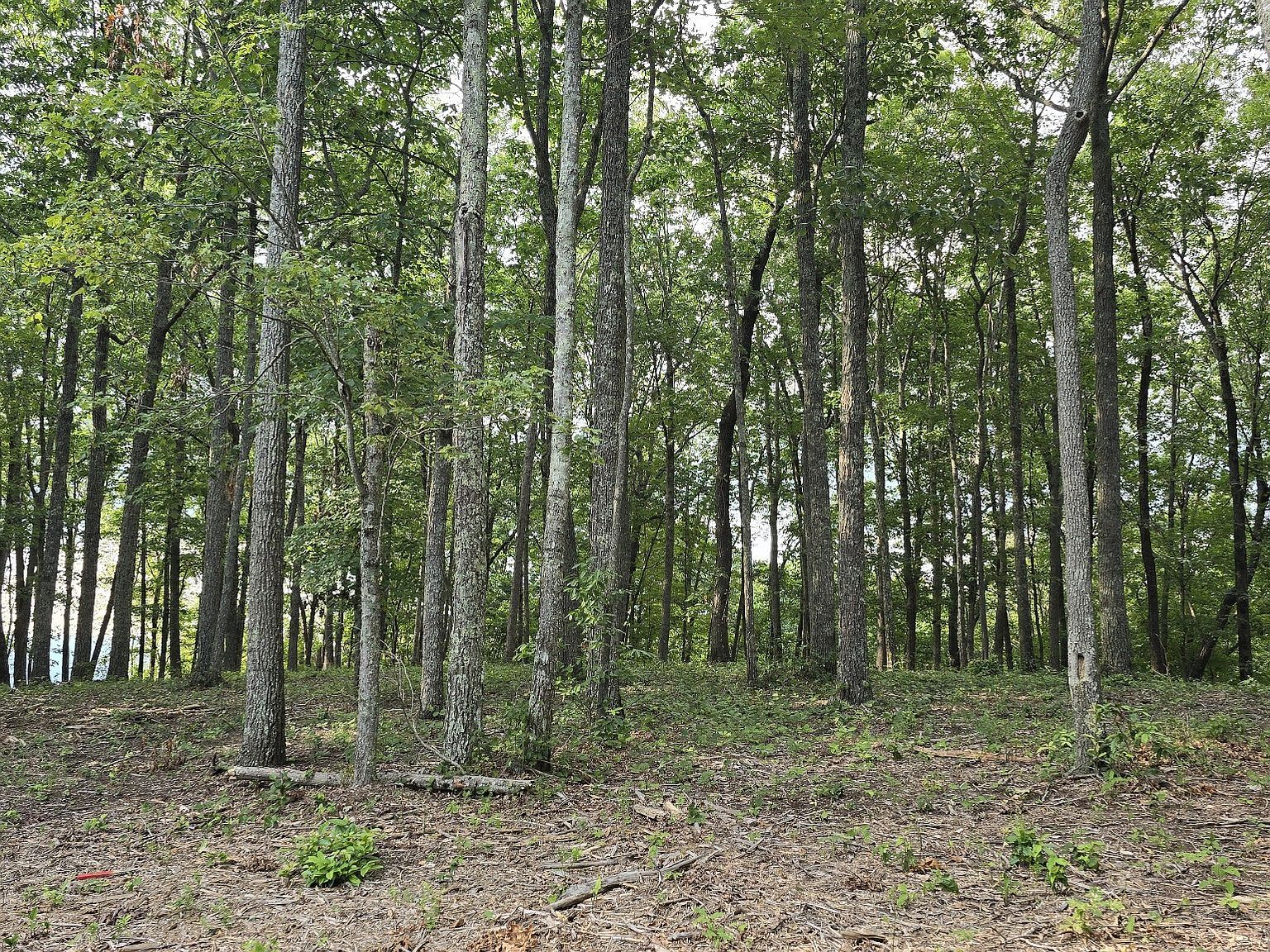 0 Bluff Ln Lot 106 Spencer, TN 38585 - Thumbnail 3