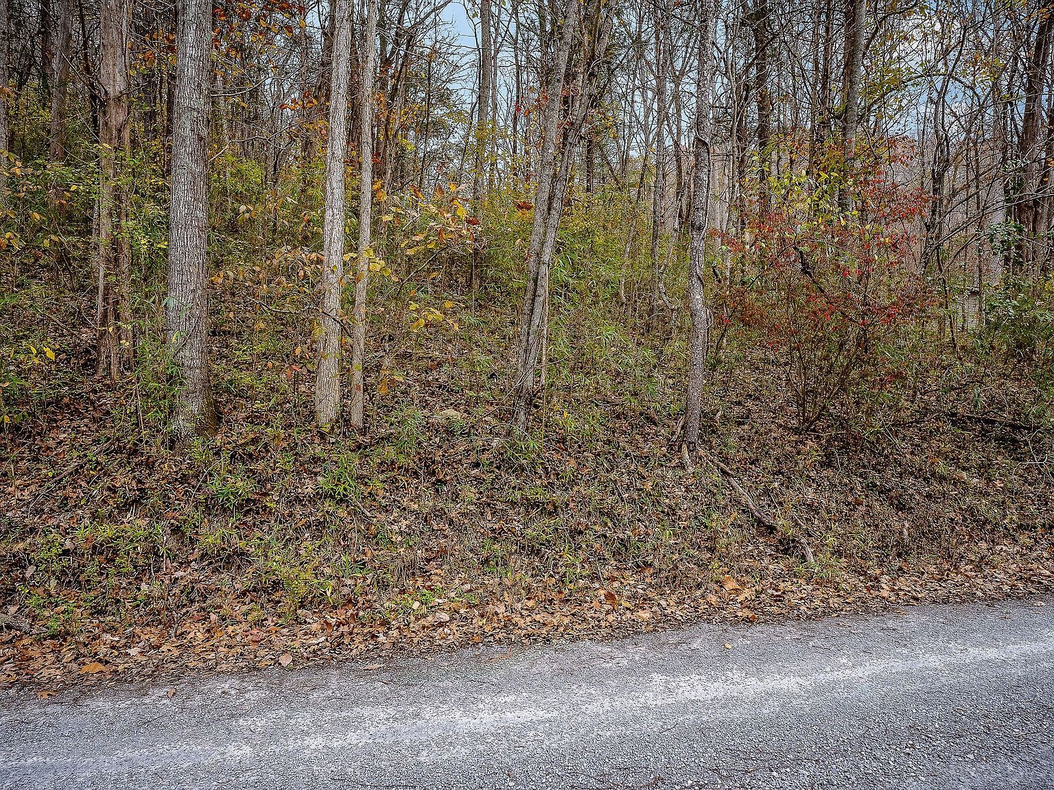 9 Shady Ln Lot 9 Smithville, TN 37166 - Thumbnail 3