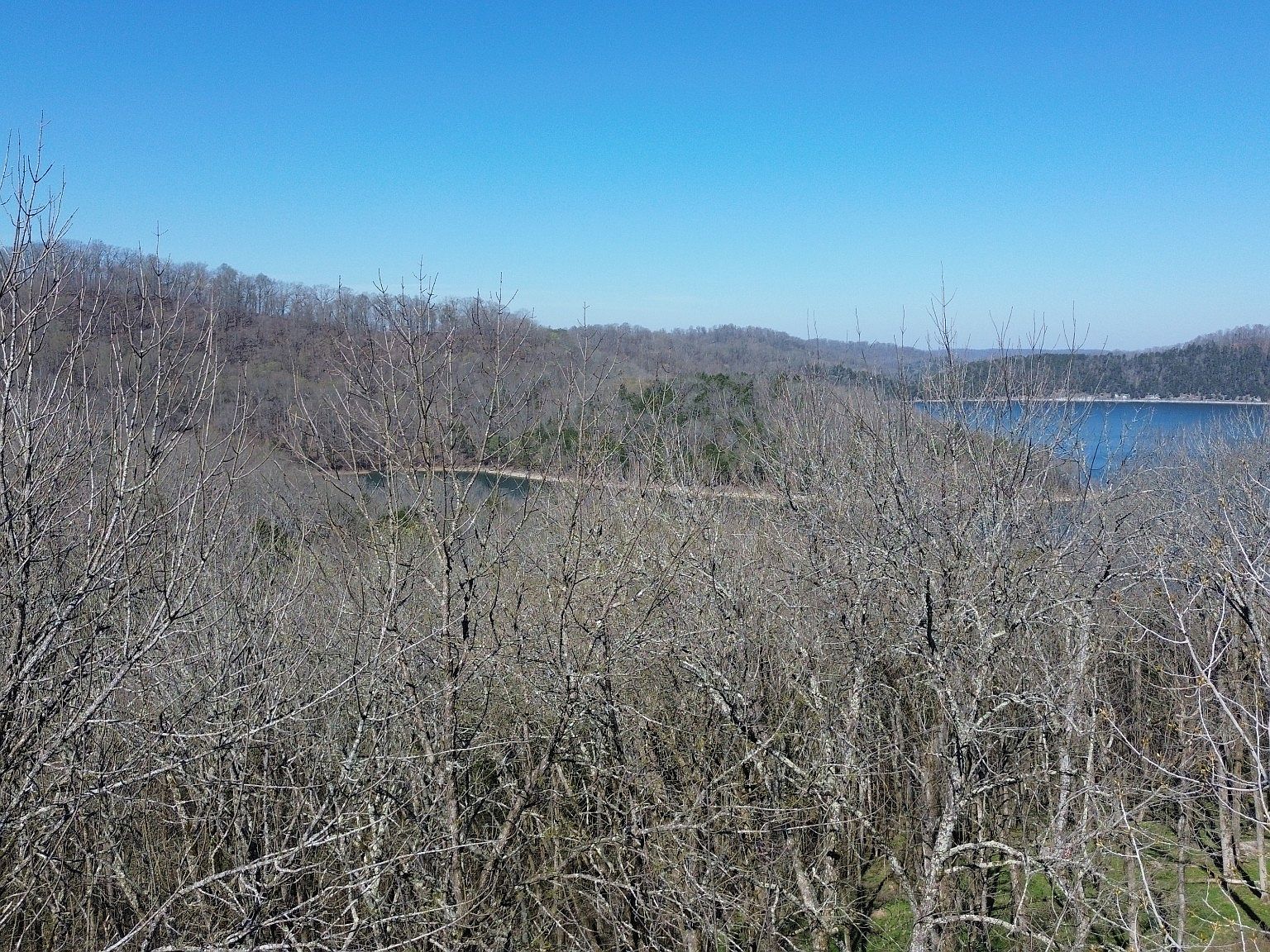 0 Wilson Cir Lot 105 Smithville, TN 37166 - Thumbnail 3