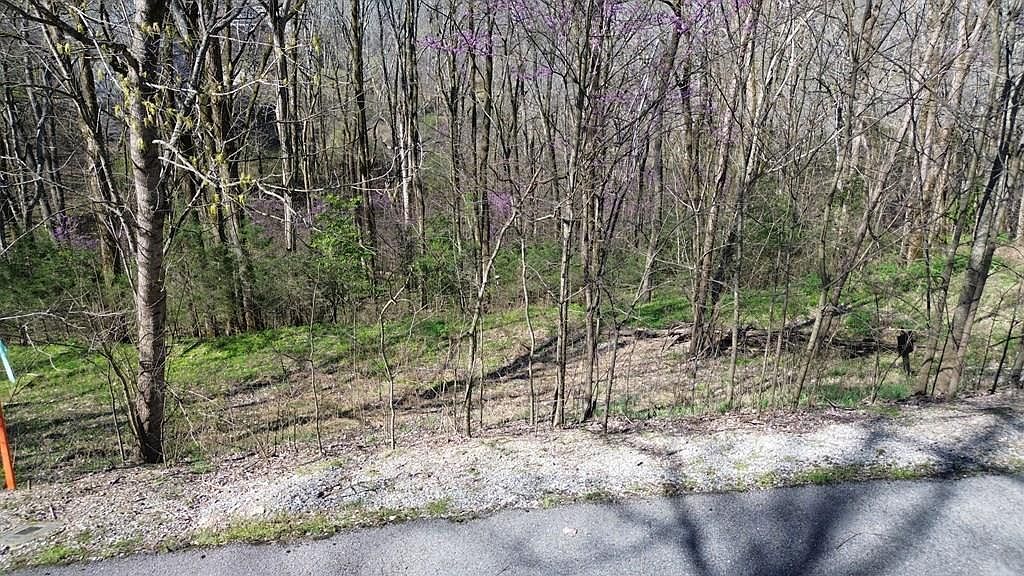 0 Wilson Cir Smithville, TN 37166 - Thumbnail 3