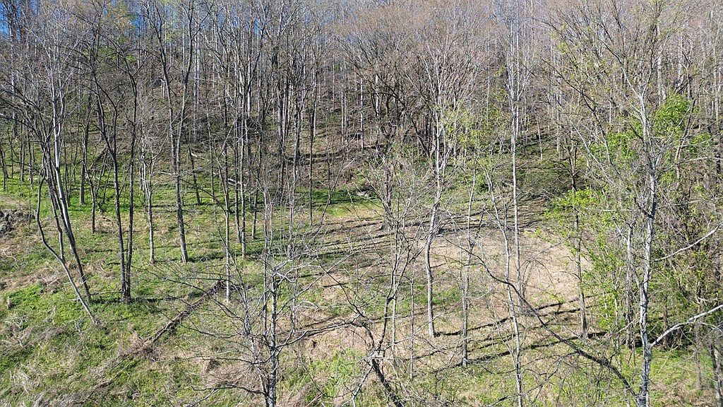 0 Blackberry Ridge Way Smithville, TN 37166 - Thumbnail 3