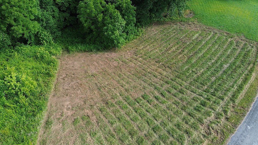 0 Summer Breeze Dr Lot 12 Smithville, TN 37166 - Thumbnail 3