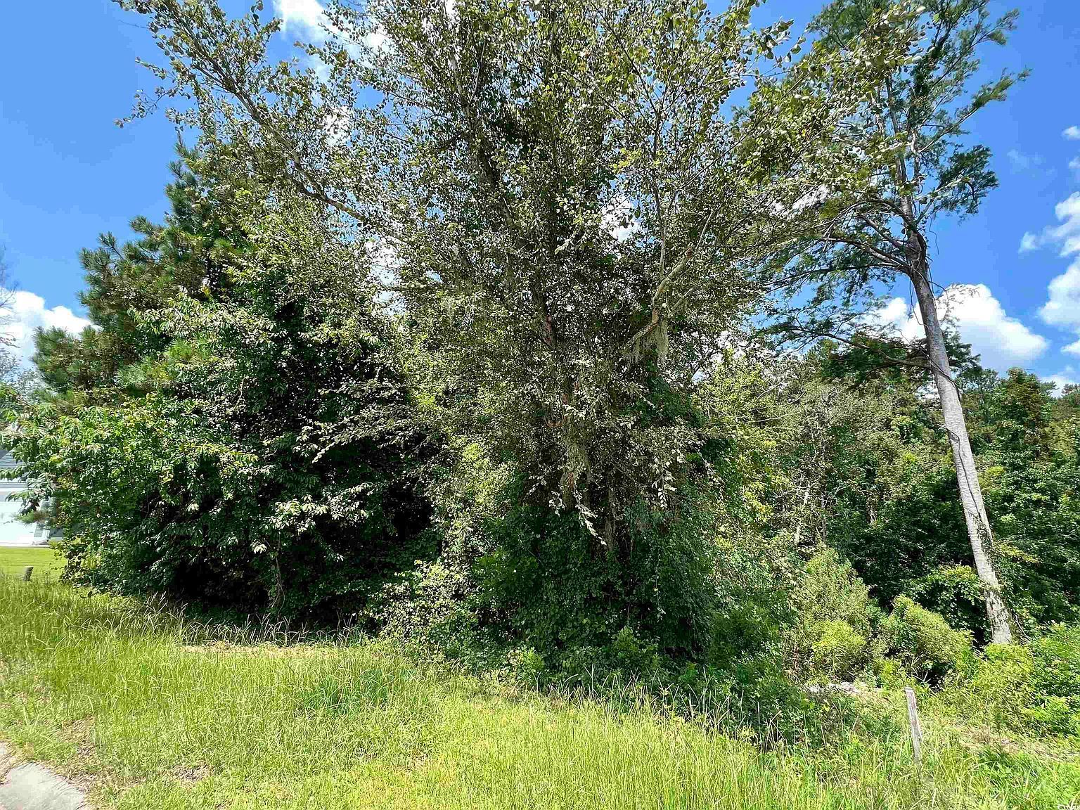 286 Rivers Edge Dr Conway, SC 29526 - Thumbnail 3