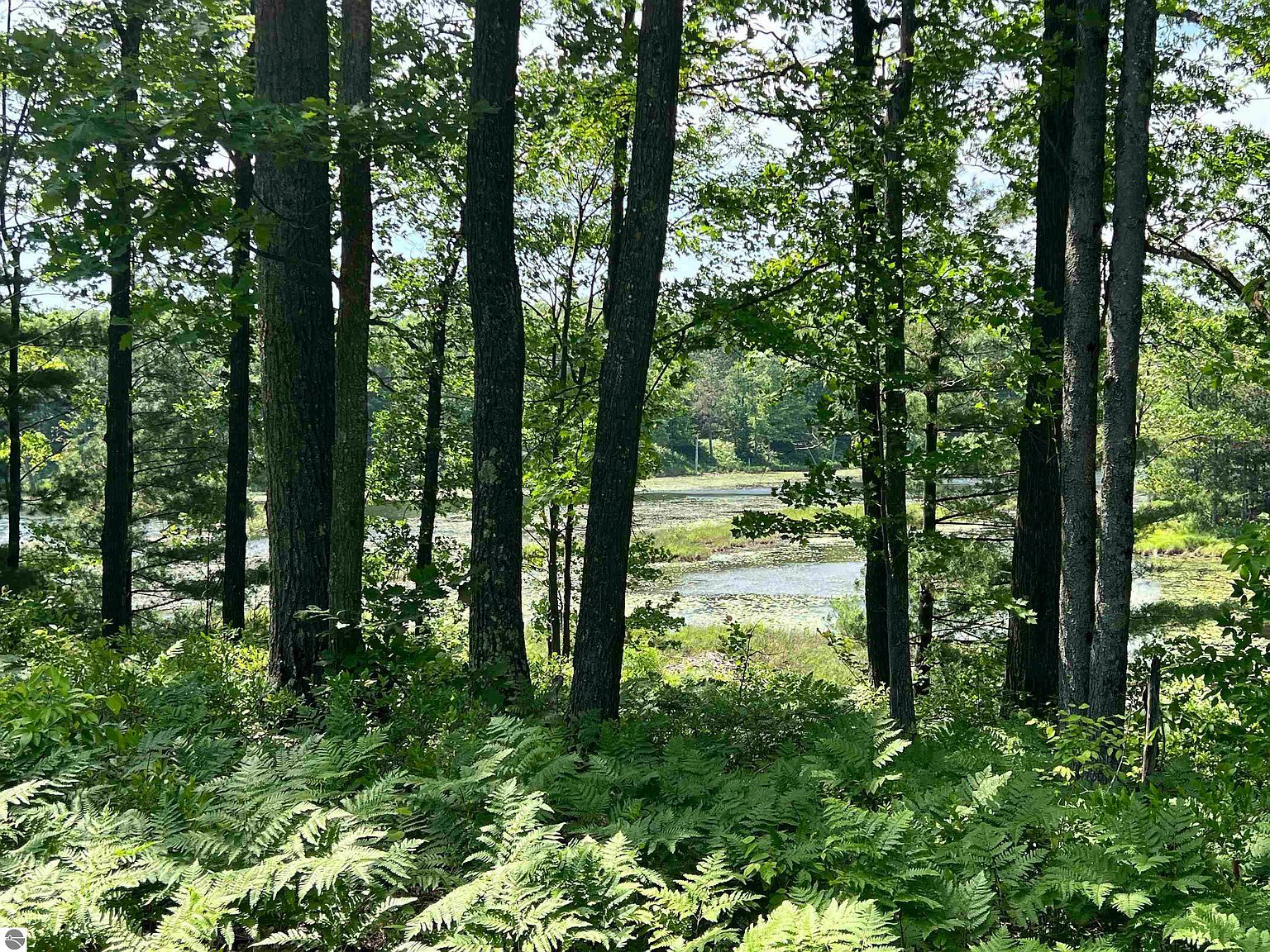 8653 Lakeside Trl Harrison, MI 48625 - Thumbnail 3