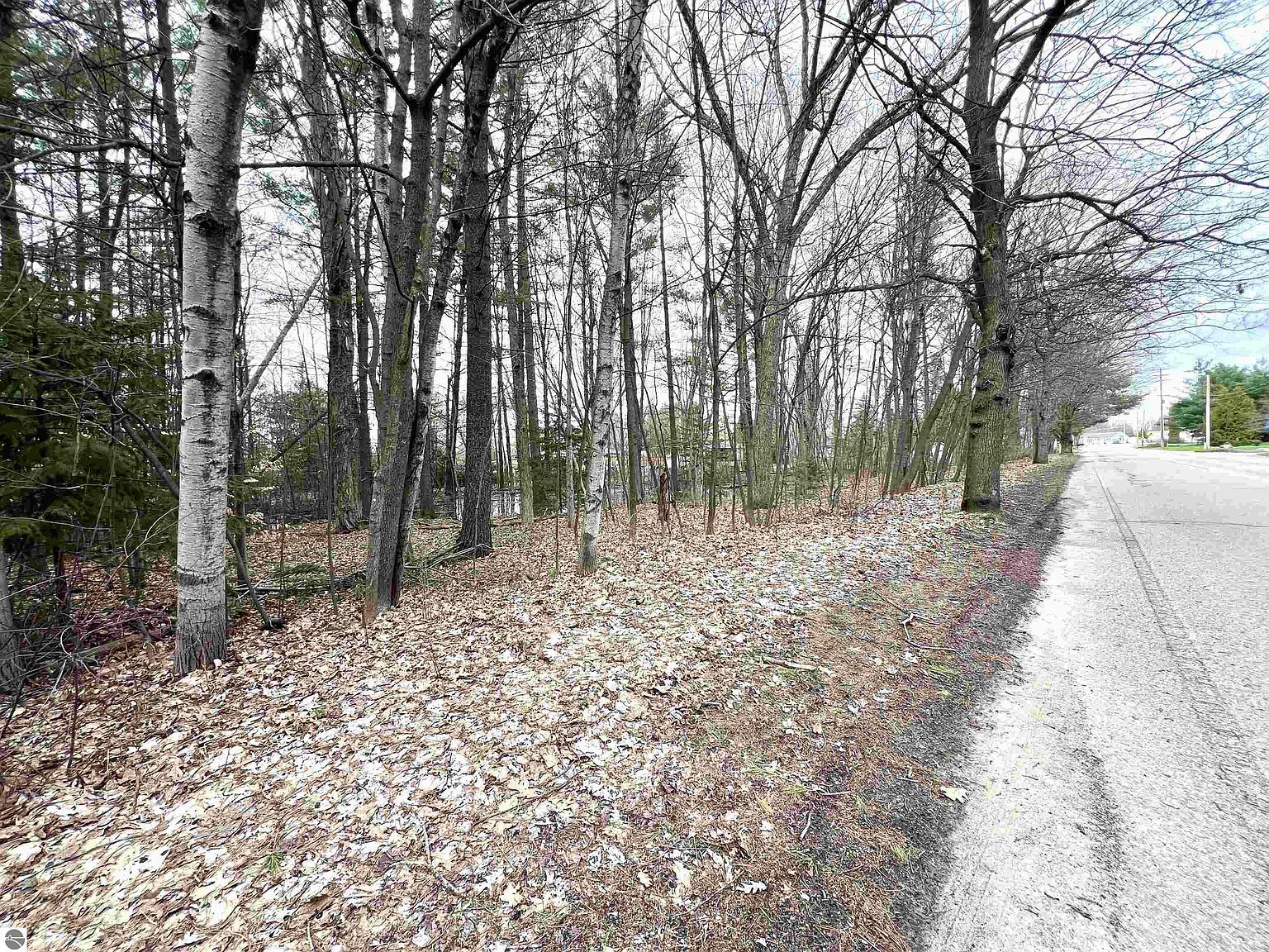 0 Kenwood Rd Cadillac, MI 49601 - Thumbnail 3