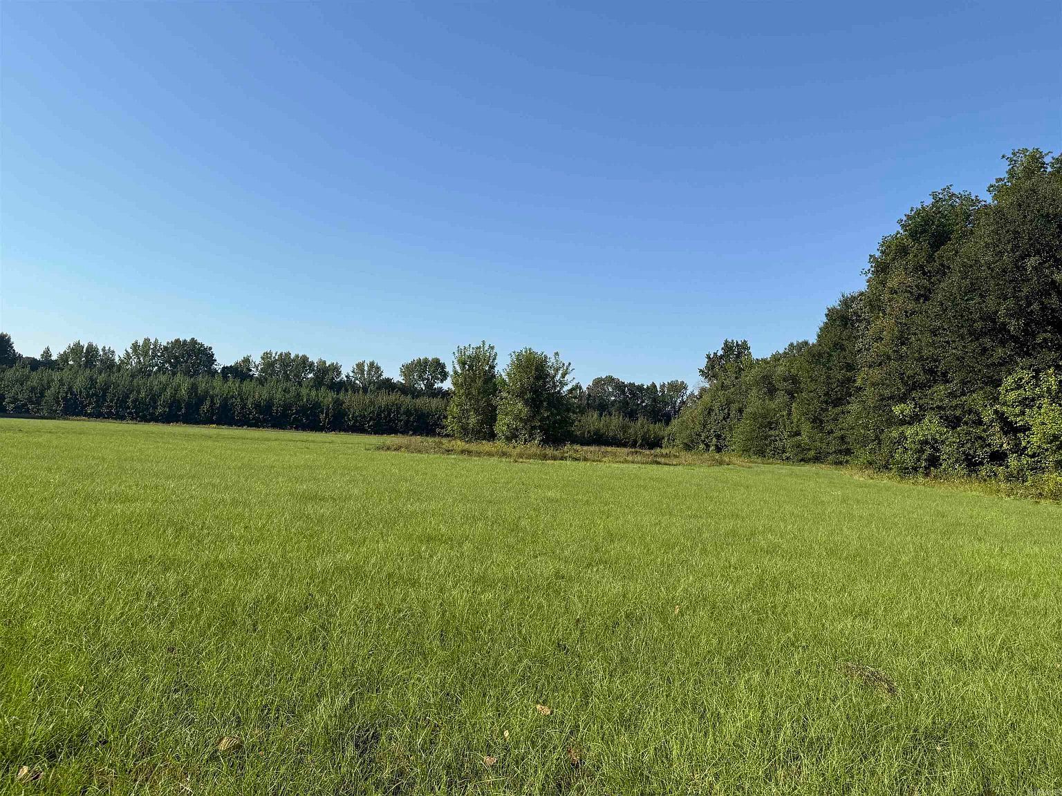 0 Highway 107 N Enola, AR 72047 - Thumbnail 3