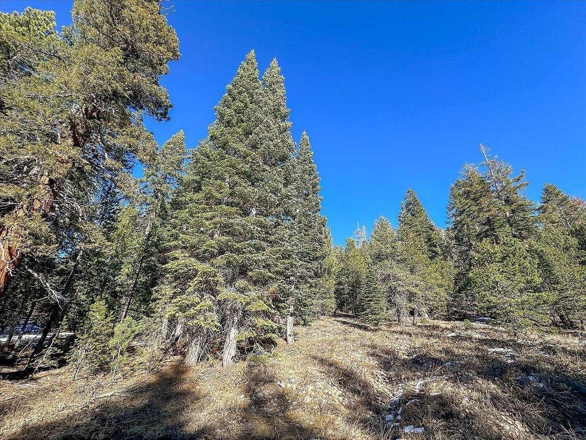 5N01 Eagle Meadow Rd Strawberry, CA 95375 - Thumbnail 3