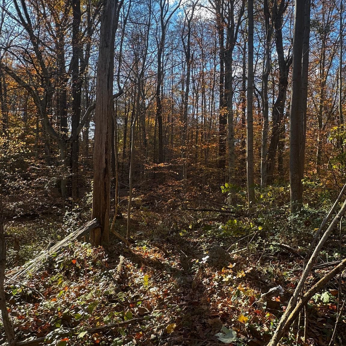 749 Gilbert Rd Aberdeen, MD 21001 - Thumbnail 3