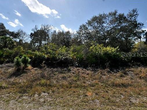 Danton Ter Lot 14 North Pt, FL 34288 - Thumbnail 3