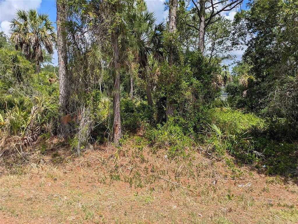 Delight Ave Lot 38 North Pt, FL 34288 - Thumbnail 3