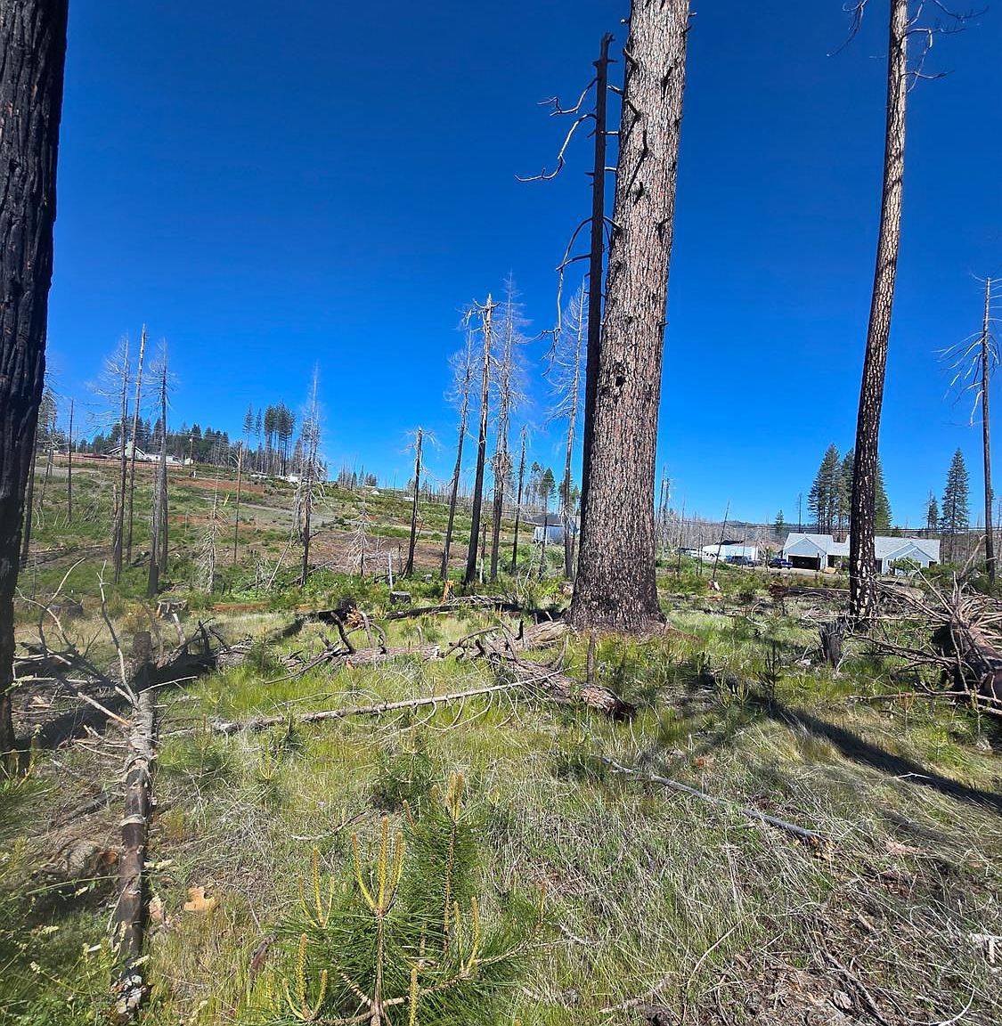 5217 Golden Aspen Ct Grizzly Flats, CA 95636 - Thumbnail 3