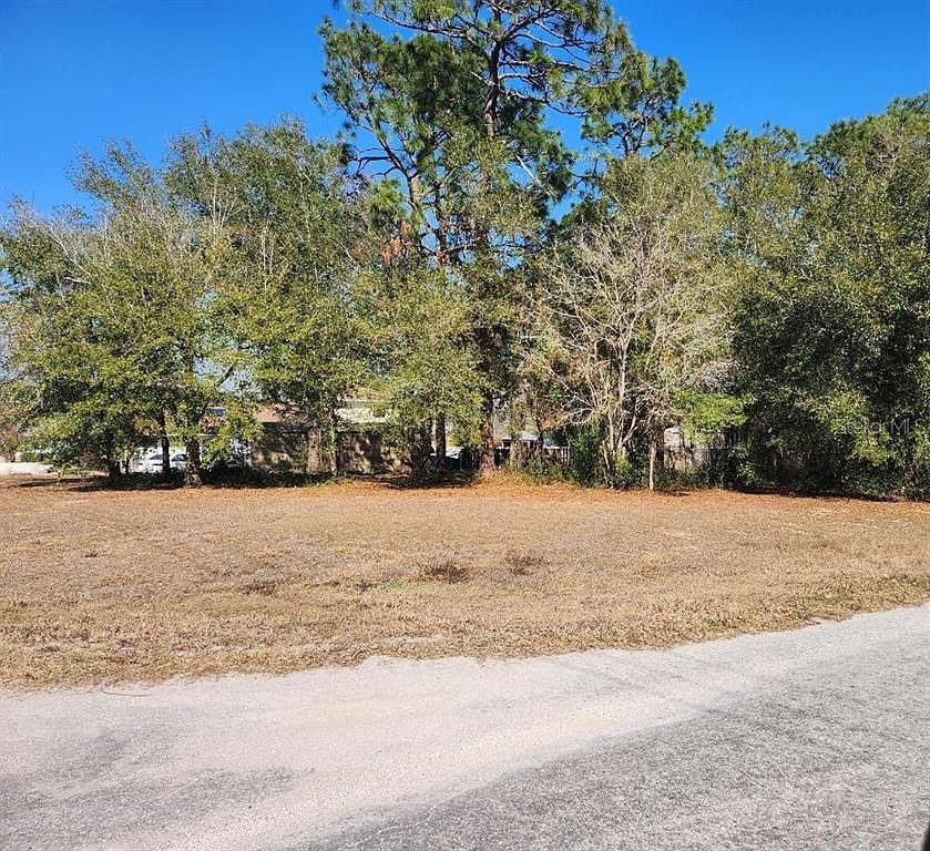 SE 97th Ter Lot 2 Summerfield, FL 34491 - Thumbnail 3