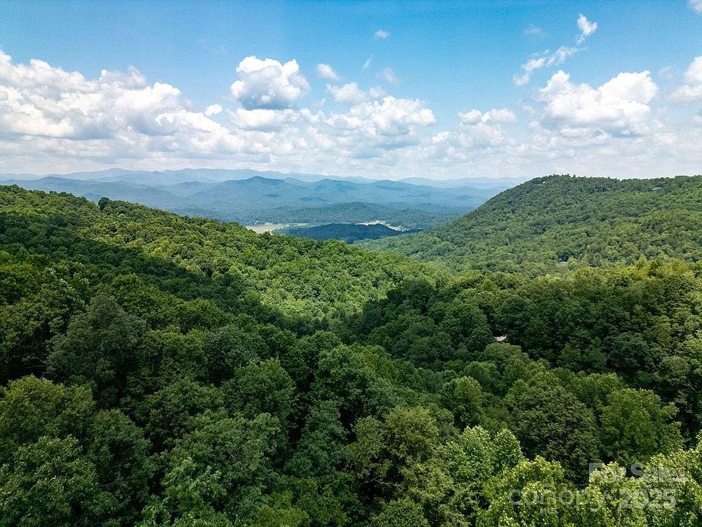 216 Tinequa Dr Brevard, NC 28712 - Thumbnail 3