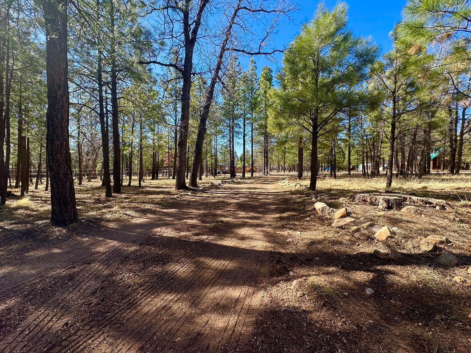 826 Jacks Canyon Dr Happy Jack, AZ 86024 - Thumbnail 3