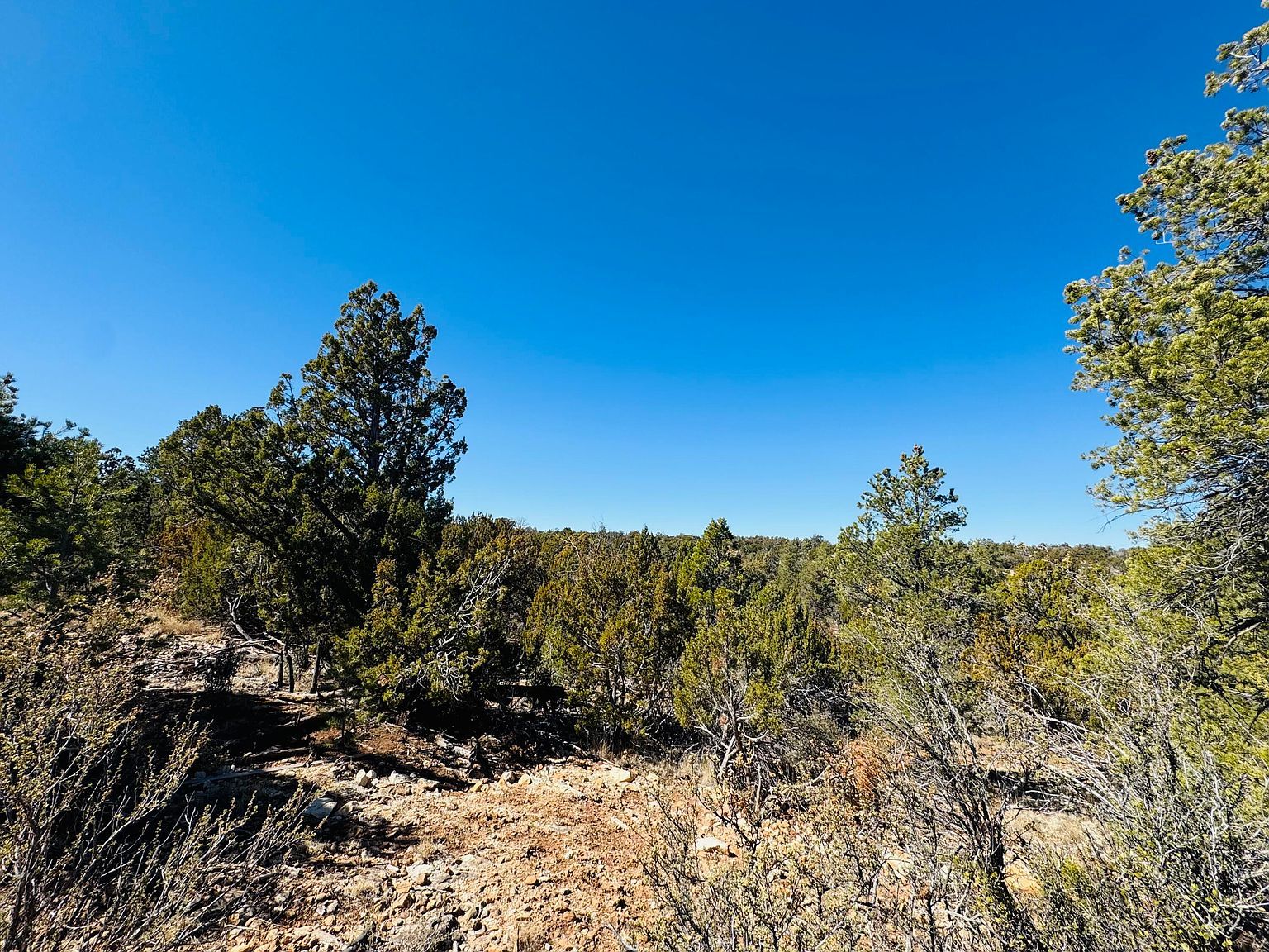 4108 Sunset Ridge Loop Happy Jack, AZ 86024 - Thumbnail 3