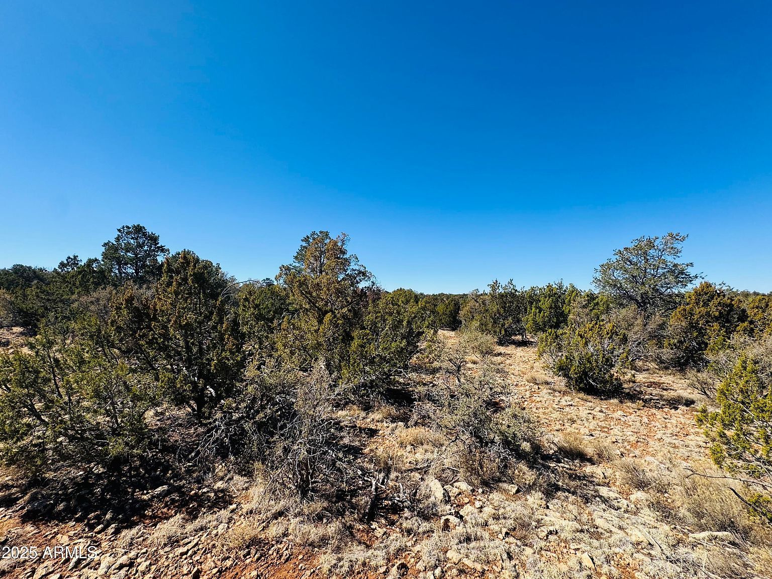 4108 Sunset Ridge Loop #135 Happy Jack, AZ 86024 - Thumbnail 3