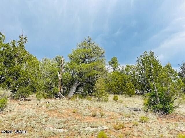 8418 Haven Crest Dr Happy Jack, AZ 86024 - Thumbnail 3