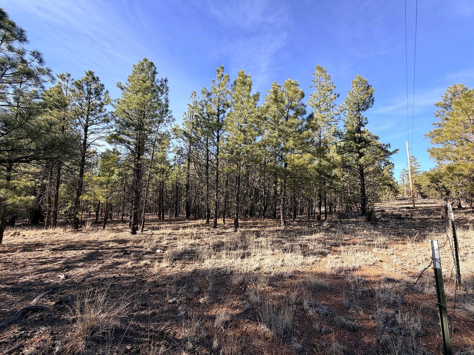 2397 Wigeon Way Happy Jack, AZ 86024 - Thumbnail 3