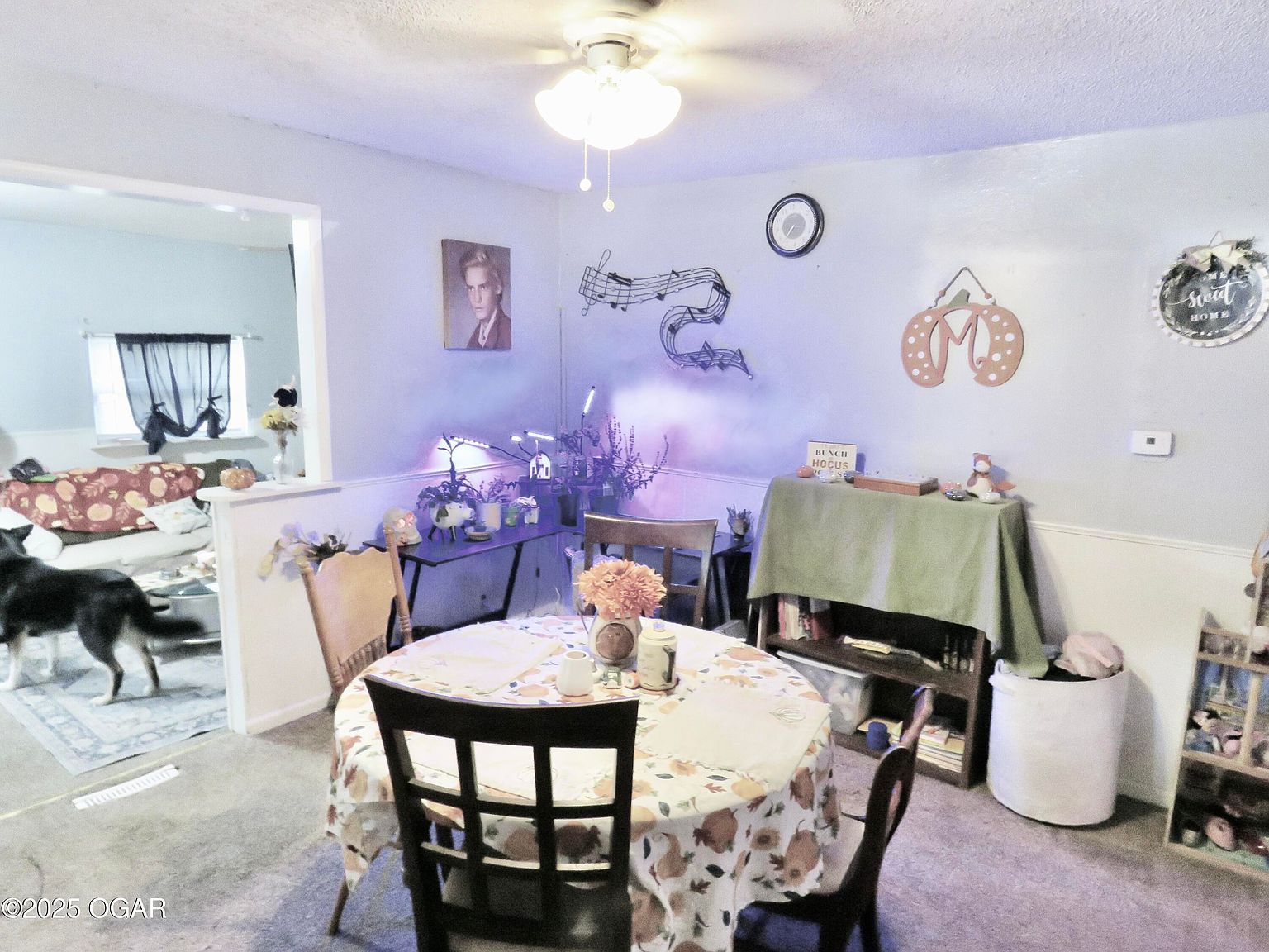 1922 Southwood Ln Carthage, MO 64836 - Thumbnail 3