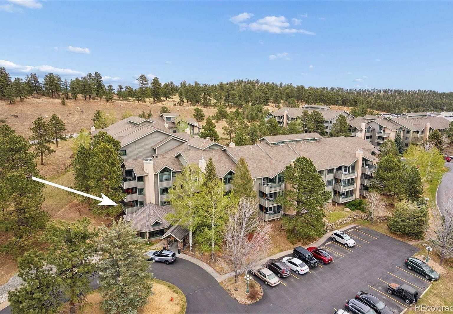 31819 Rocky Village Dr APT 101 Evergreen, CO 80439 - Thumbnail 3