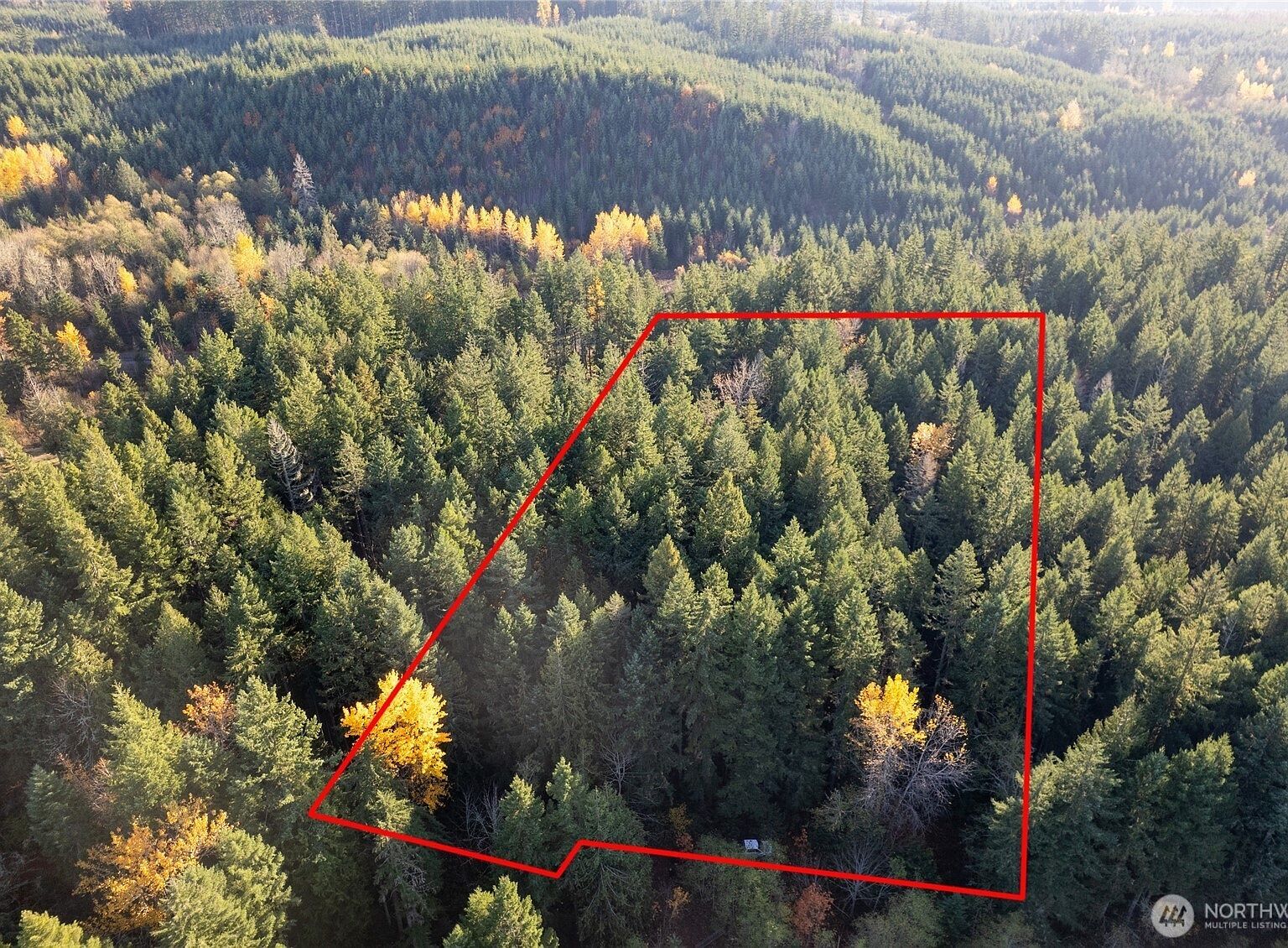 0 Bald Hills Rd SE Yelm, WA 98597 - Thumbnail 3