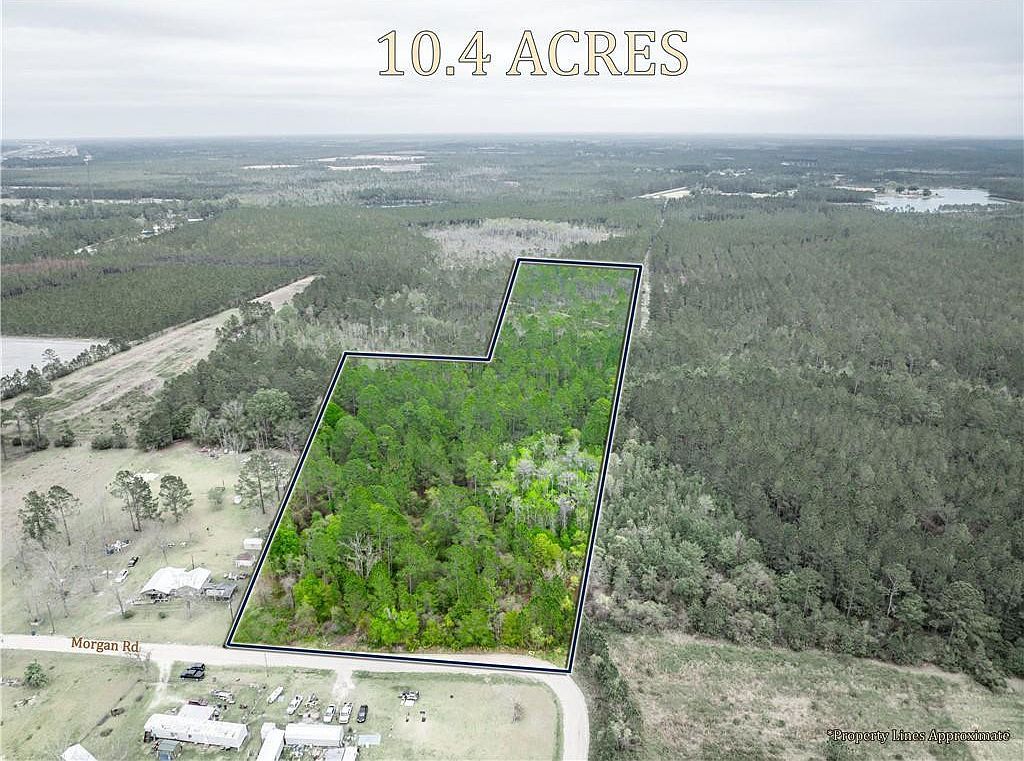 0 Morgan Rd Waycross, GA 31503 - Thumbnail 3