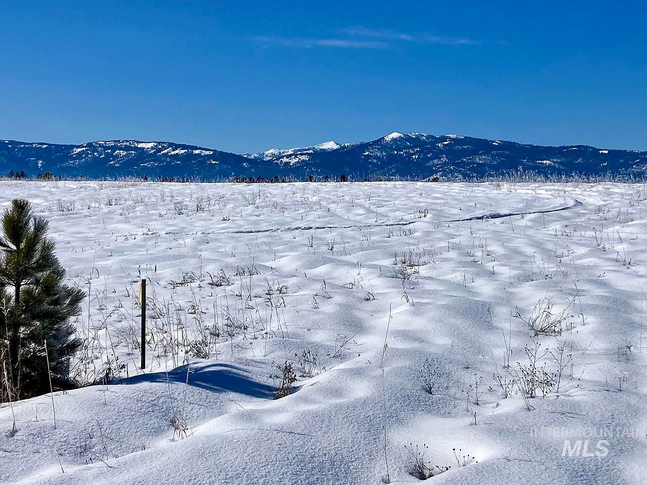 LOT 5 Elkhorn Ranch Rd McCall, ID 83638 - Thumbnail 3